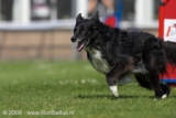 Tess
URV 1 juni 2009